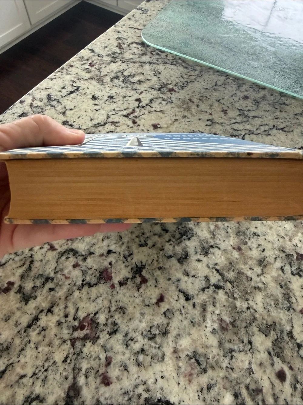 The American Everyday Cookbook — Blue Plaid Kitchen Cookbook 1950’s
